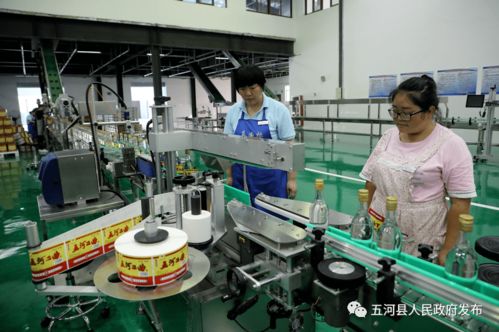 安徽淮酒新厂正式启用，开启酒类经营新篇章