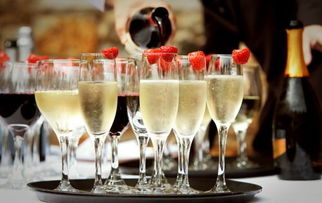 新世代“微醺”经济 解码酒水消费年轻化趋势与营销新玩法